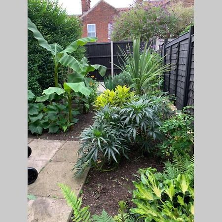 Beautiful Two Bed Victorian Terrace House Villa Norwich Bagian luar foto