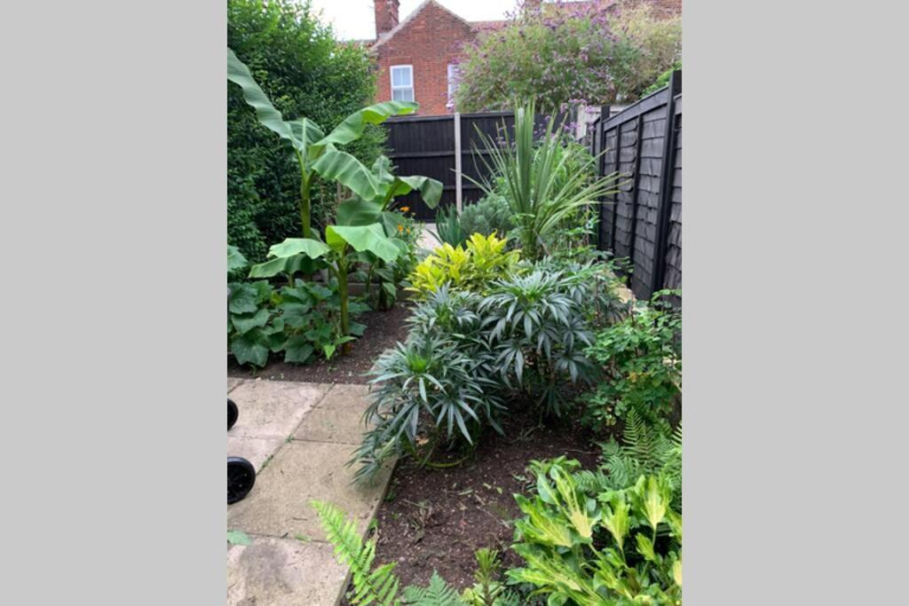 Beautiful Two Bed Victorian Terrace House Villa Norwich Bagian luar foto